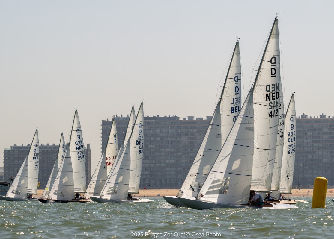 2025-brugse-zot-2 2025-brugse-zot-2