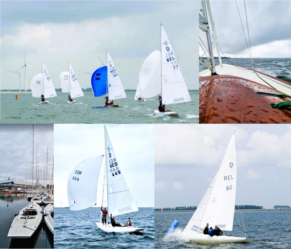 2025-lowlands-cup9 2025-lowlands-cup9